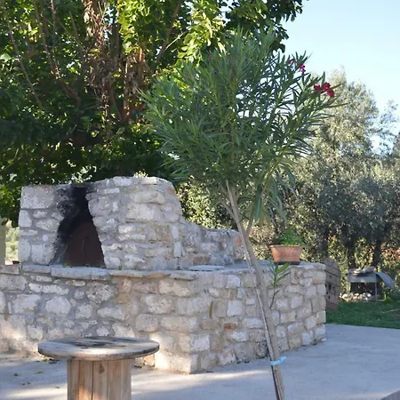 Nafplio - The Kotsonis Estate, Olive Grove *
