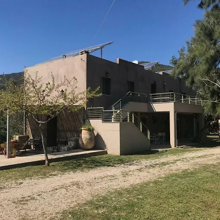 Nafplio - The Kotsonis Estate, Olive Grove *
