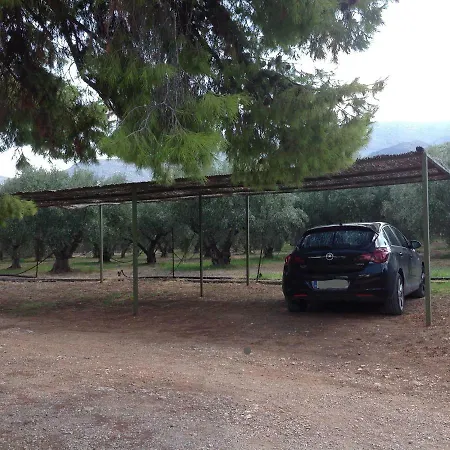 Nafplio - The Kotsonis Estate, Olive Grove