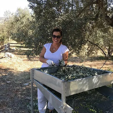 Σπίτι διακοπών Nafplio - The Kotsonis Estate, Olive Grove Spiliotakis